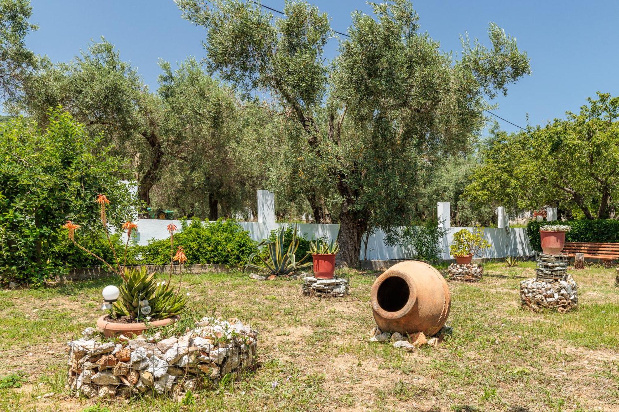Panagou Studios Skopelos Exterior foto
